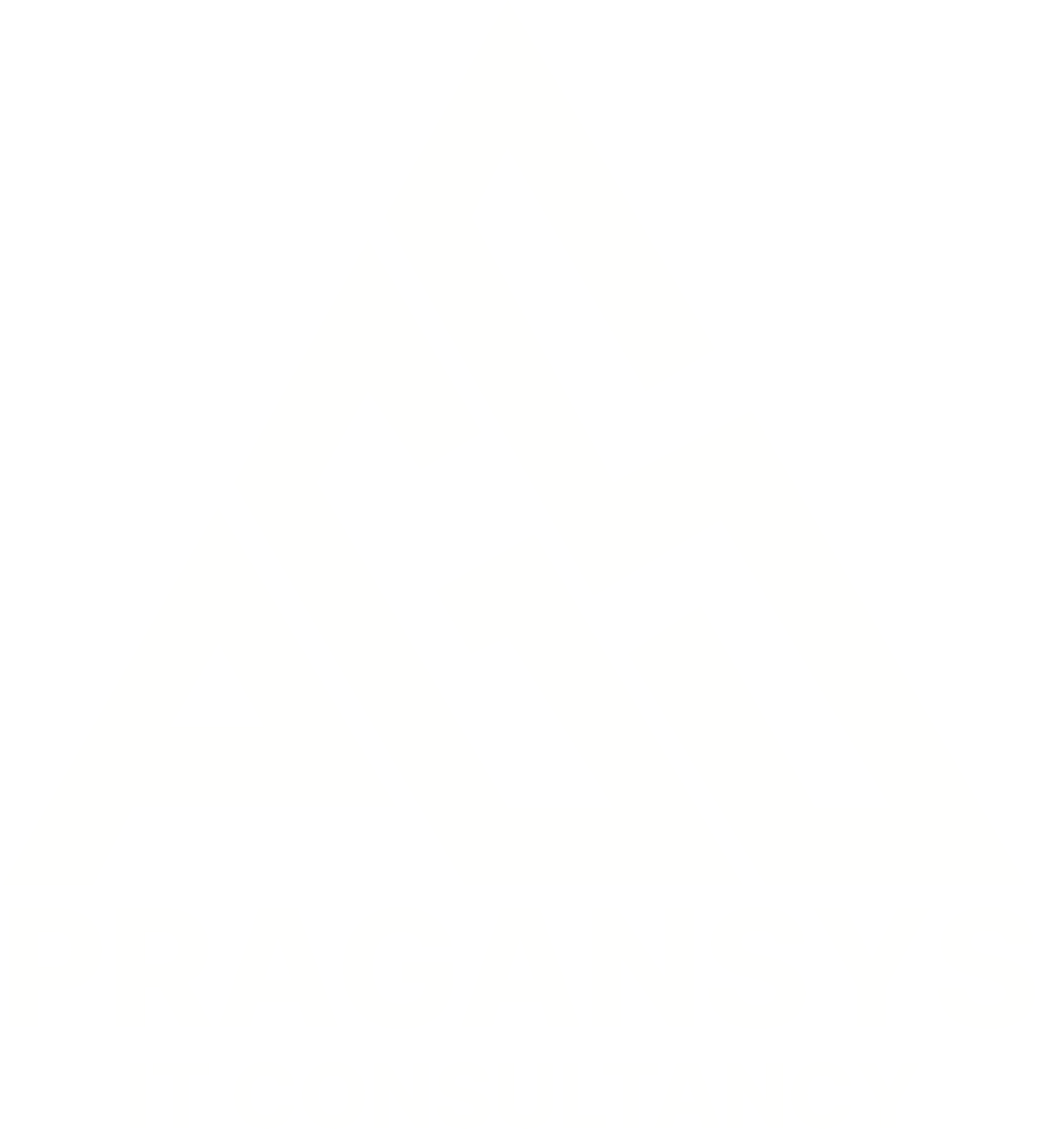 Pragansys Logo